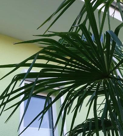 Apartamento Happy 1 Quierschied Exterior foto